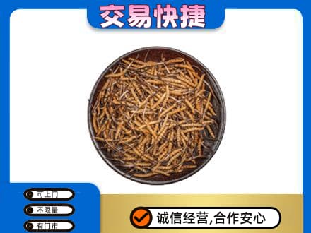 自贡回收散虫草
