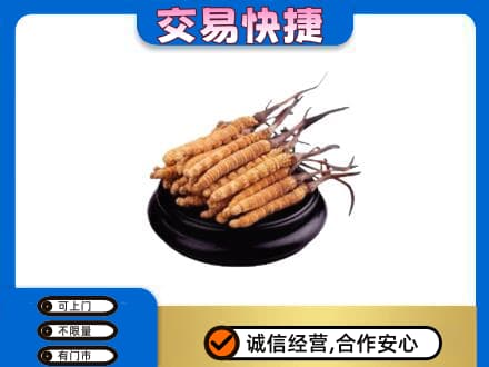 自贡礼品回收散虫草.jpg